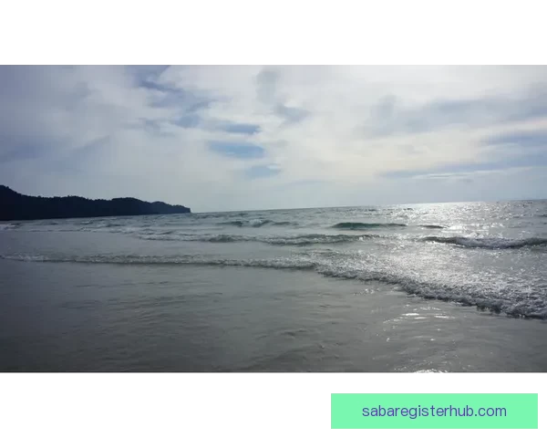 沙巴APP下载安装指南，快速体验沙巴精彩功能，轻松享受娱乐生活